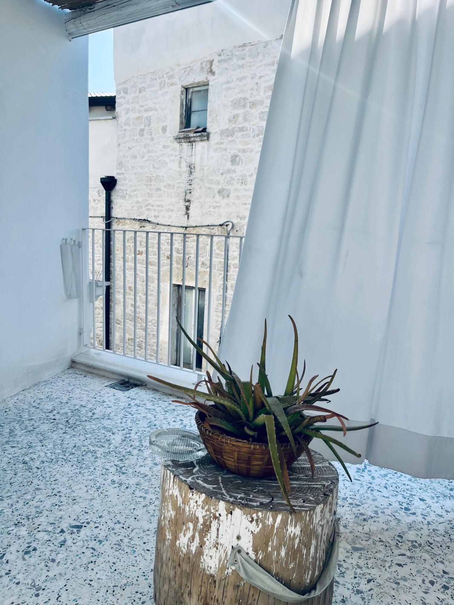 Hydria Guest House Art Gallery Acquaviva delle Fonti Exteriér fotografie